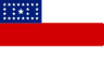 Bandeira do Amazonas